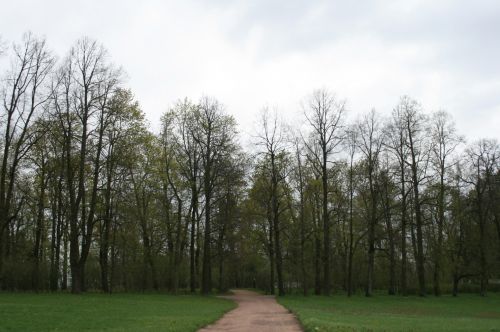Garden Path At Tsarskoe Selo