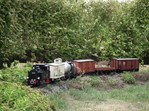 garden railway steam locomotive freight train