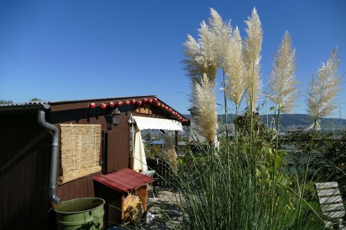 garden shed garden nature