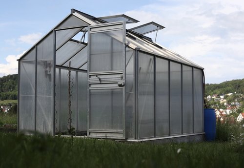 garden shed  greenhouse  vegetables