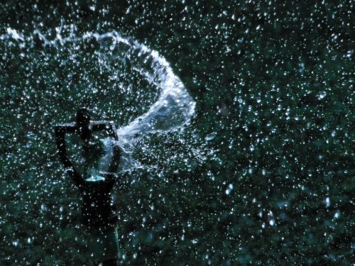 Garden Sprinkler