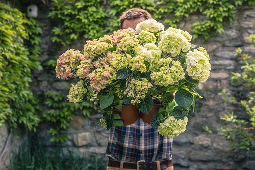 gardener  gardening  flower