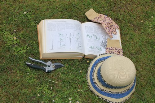 gardening  book  sun hat