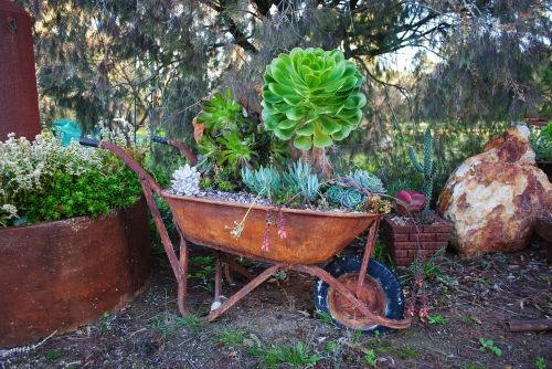 gardening landscaping wheelbarrow