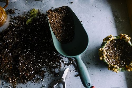 gardening pots soil