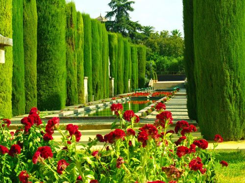 gardens cordoba vegetation