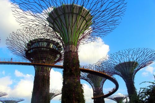 gardens by the bay singapore garden