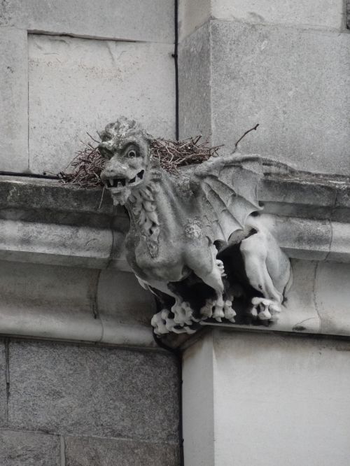 gargouille gargoyle nest