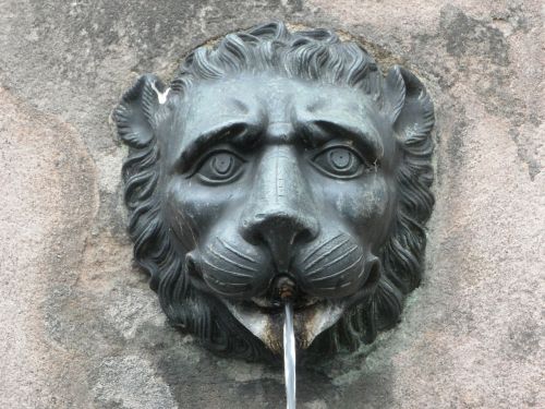 gargoyle fountain lion