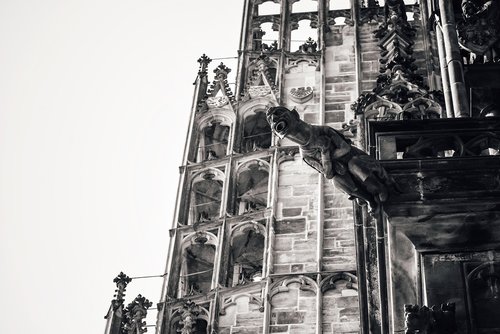 gargoyle  cathedral  catholic