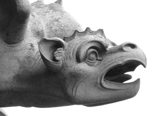 gargoyle dragon mythical creatures