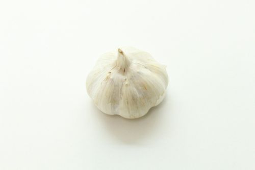 garlic raw raw garlic