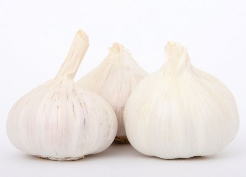 garlic cook cookery