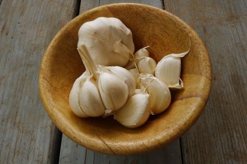 garlic organic fresh