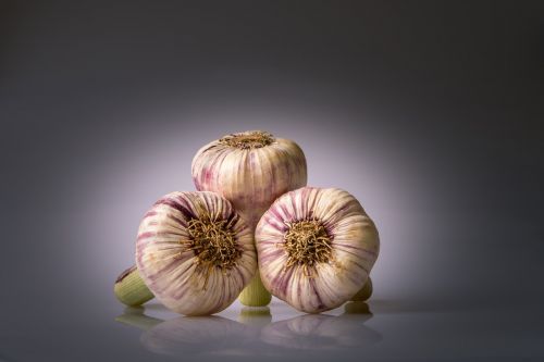 garlic condiment heads of garlic