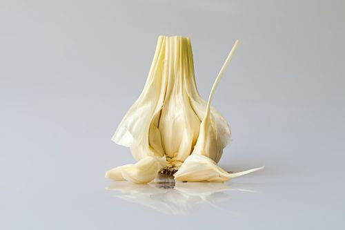 garlic head of garlic pod