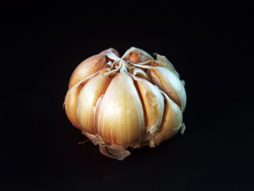 garlic meals white