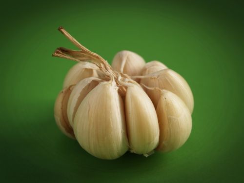 garlic meals seasoning