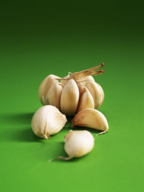 garlic meals seasoning