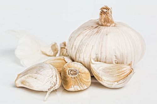garlic flavoring food seasoning