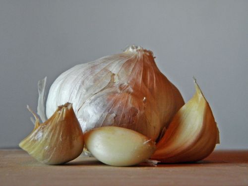 garlic smell aromatic