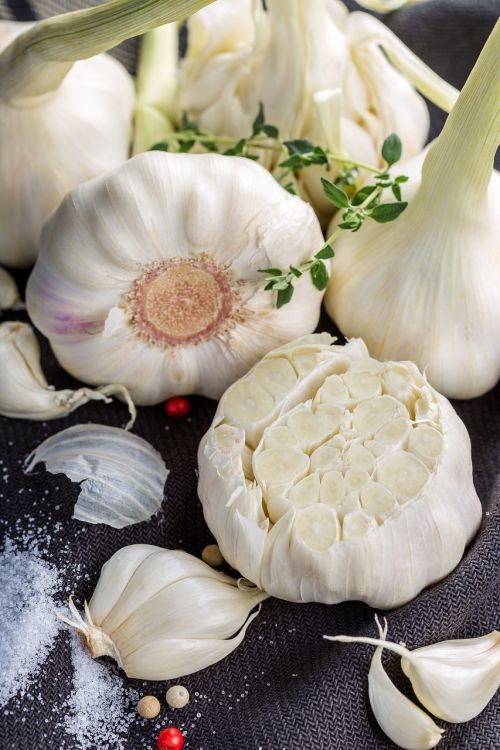 garlic garlic cloves vegetables