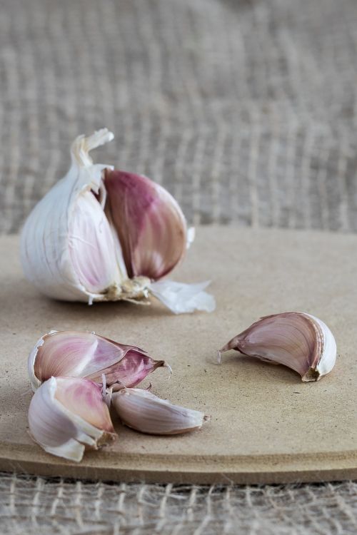 garlic cloves of garlic clove of garlic