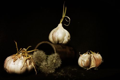 garlic still life staging