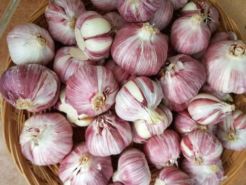 garlic power seasoning