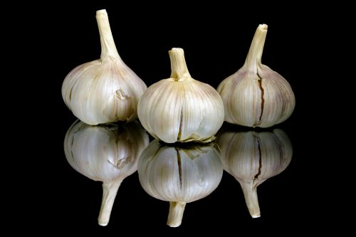 garlic food seasoning