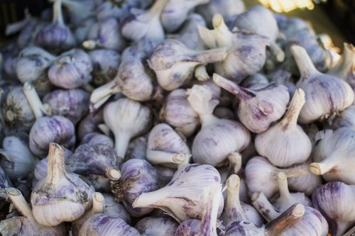 garlic healthy health