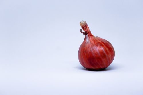 garlic white background