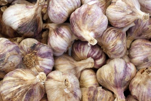 garlic market food