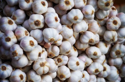 garlic vegetables healthy