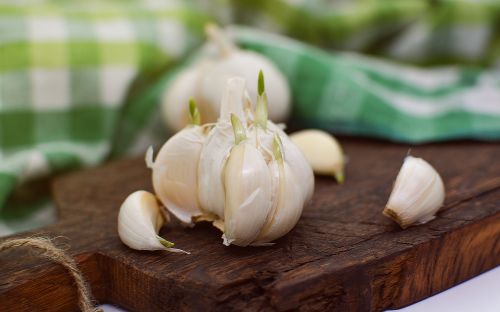 garlic ingredient food