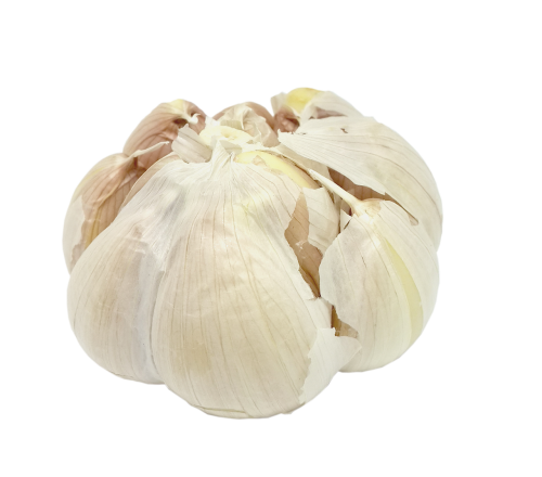 garlic transparent background nutrition