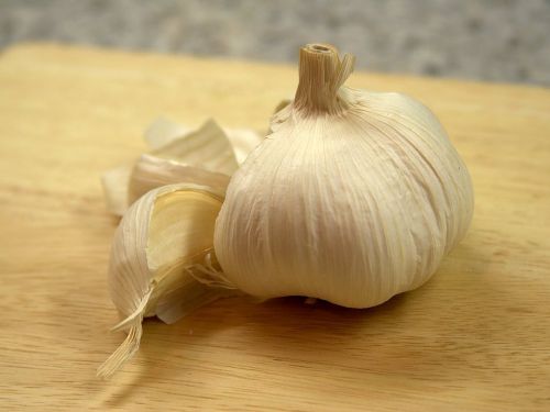 garlic ingredient sharp