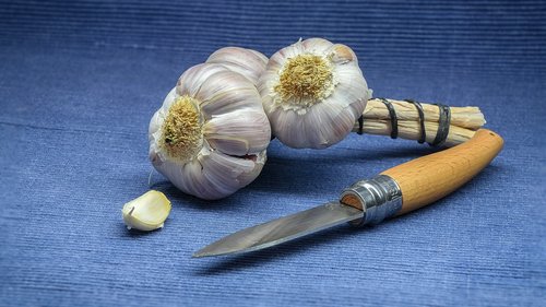 garlic  cook  spice