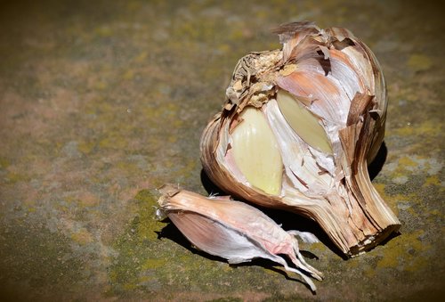 garlic  leek  clove of garlic