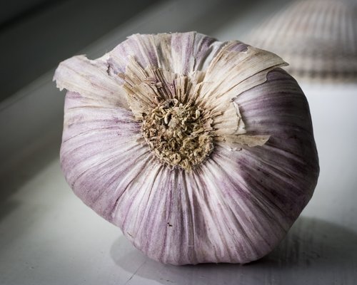 garlic  garlic bulb  food