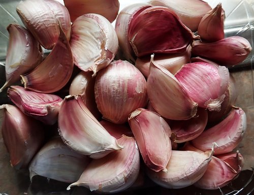 garlic  vegetables  fresh