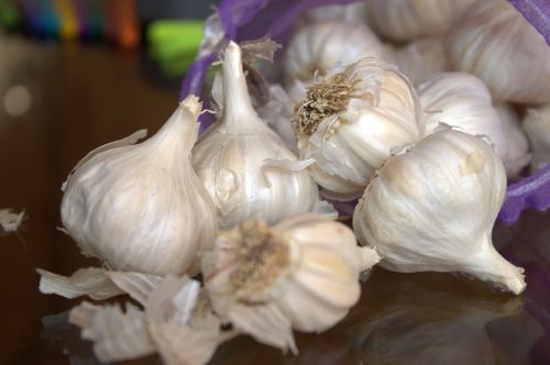 garlic fresh spices