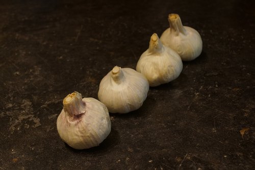 garlic  spice  white