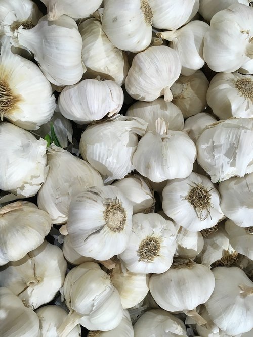 garlic  grocery  groceries