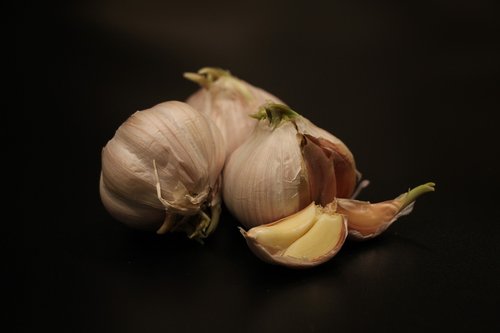 garlic  black  still life