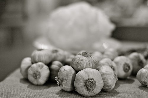 garlic  italy  italian