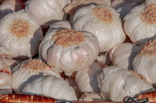 garlic  herb  smell