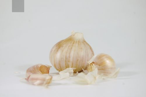 garlic health spice