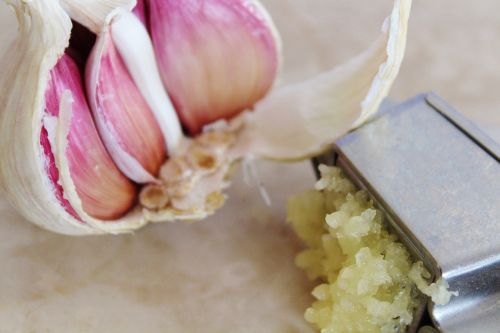 garlic garlic press spice