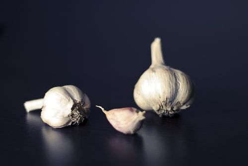 garlic flavoring food